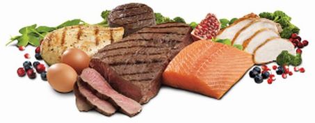 Protein sources.jpg