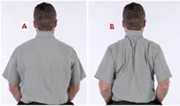 scapular.png
