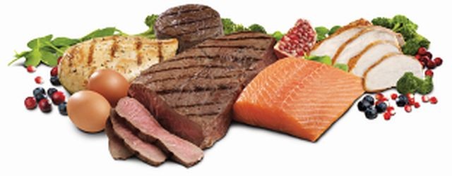 Why is protein so important?