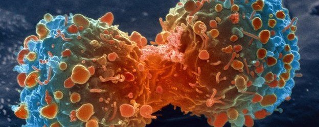 Is there an On/Off switch for Cancer?